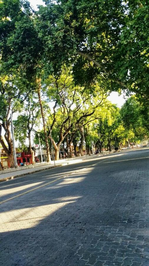 Premium Gold Mendoza Lägenhet Exteriör bild